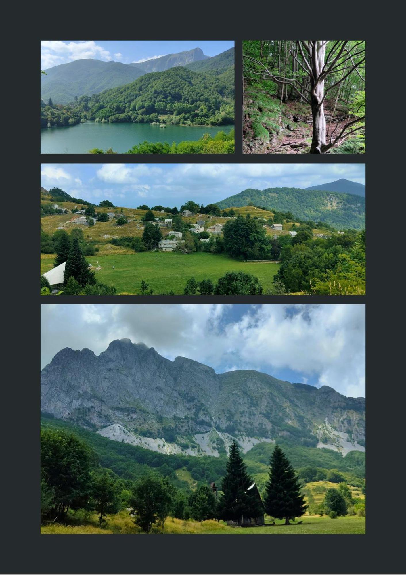 Borgo Del Sole Agriturismo Poggio  Εξωτερικό φωτογραφία